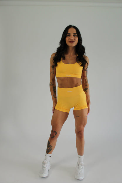 Vee Halter Crop - Mango