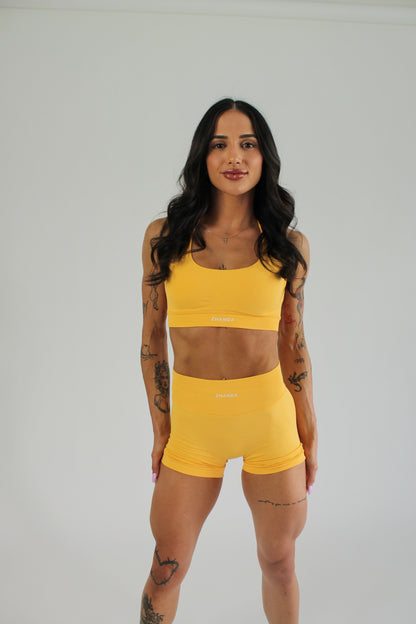 Vee Halter Crop - Mango